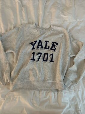 H&M Light Gray YALE 1701 Sweatshirt with Navy Print